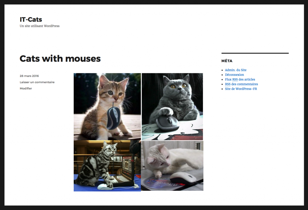 homepage-it-cats